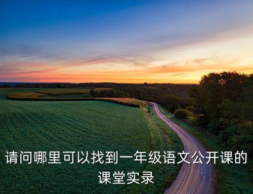 请问哪里可以找到一年级语文公开课的课堂实录
