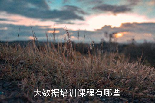 大数据培训课程有哪些
