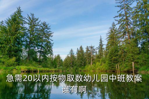 急需20以内按物取数幼儿园中班教案谁有啊