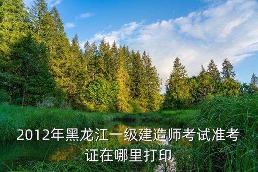 2012年黑龙江一级建造师考试准考证在哪里打印