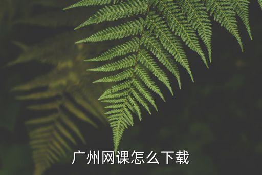 广州网课怎么下载
