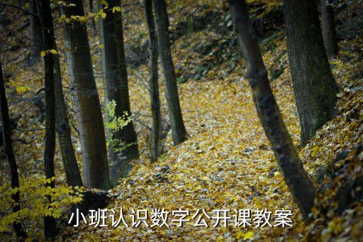 幼儿园小班数学公开课教案，小班认识数字公开课教案