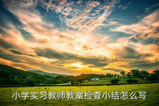 小学实习教师教案检查小结怎么写