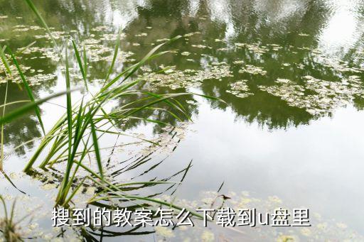 搜到的教案怎么下载到u盘里