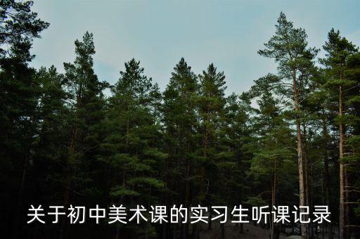 关于初中美术课的实习生听课记录
