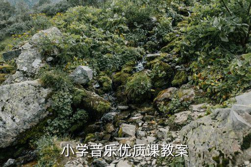 小学音乐教案模板范文面试版，小学音乐优质课教案