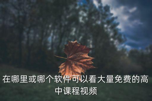 高中网课视频，网上高中教学视频
