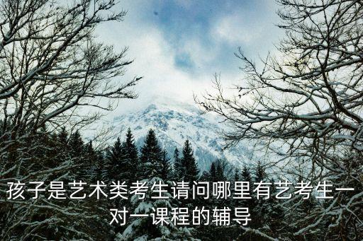 孩子是艺术类考生请问哪里有艺考生一对一课程的辅导