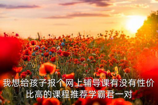 我想给孩子报个网上辅导课有没有性价比高的课程推荐学霸君一对