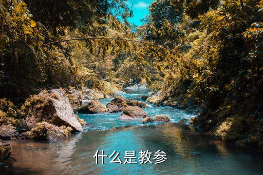 什么是教参