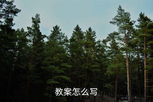教案怎么写