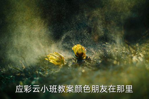 应彩霞老师小班公开课，应彩云小班教案颜色朋友在那里