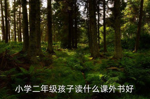 小学二年级孩子读什么课外书好