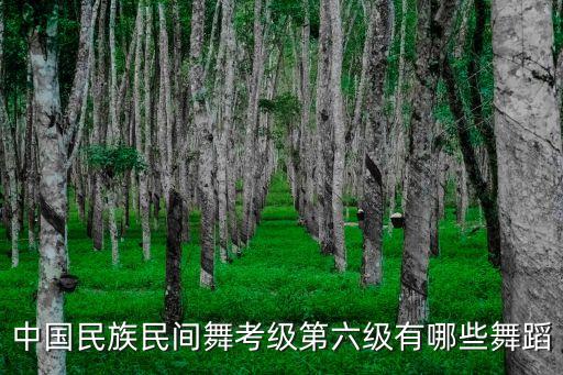 中国民族民间舞考级第六级有哪些舞蹈
