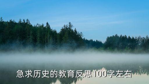 急求历史的教育反思100字左右