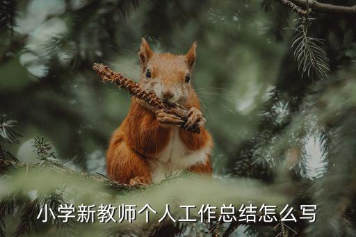 本学期教育教学工作总结，教学工作总结怎么写