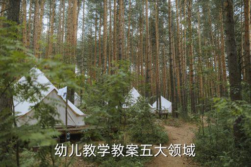 幼儿教学教案五大领域
