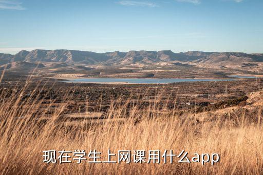 现在学生上网课用什么app