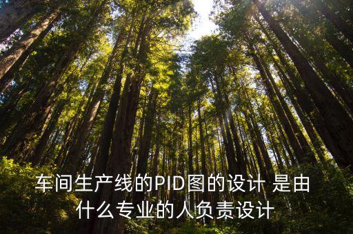 车间生产线的PID图的设计 是由 什么专业的人负责设计