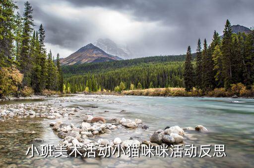 小班美术活动小猫咪咪活动反思