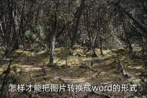 怎样才能把图片转换成word的形式