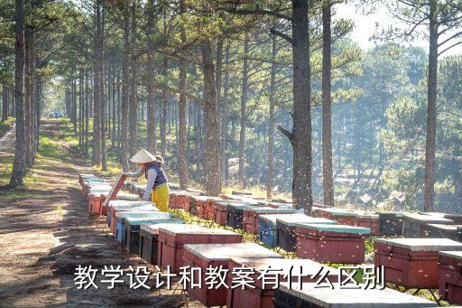教学设计和教案有什么区别