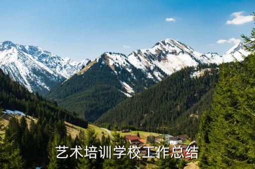艺术培训学校工作总结