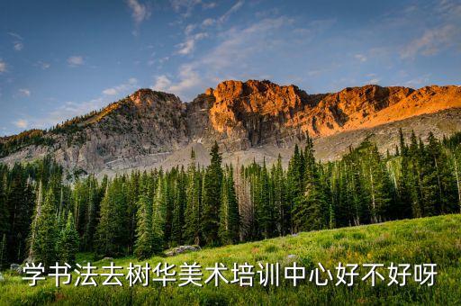 学书法去树华美术培训中心好不好呀