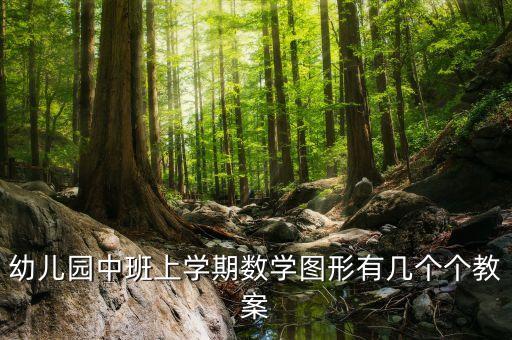 幼儿园中班上学期数学图形有几个个教案