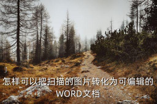 怎样可以把扫描的图片转化为可编辑的WORD文档