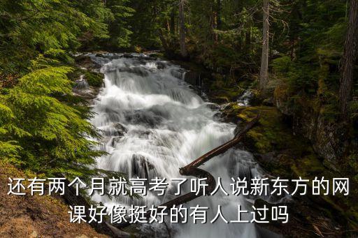 还有两个月就高考了听人说新东方的网课好像挺好的有人上过吗