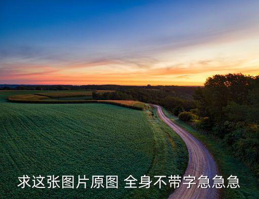 求这张图片原图 全身不带字急急急