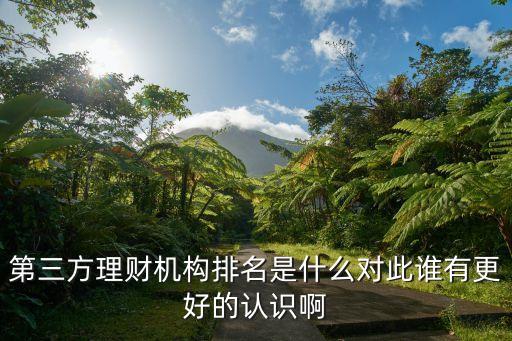 第三方理财机构排名是什么对此谁有更好的认识啊