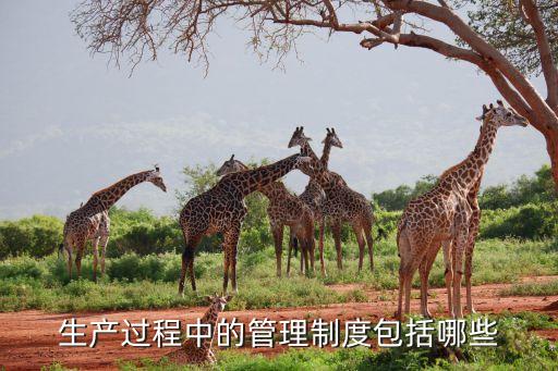 生产过程中的管理制度包括哪些