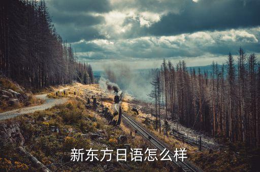 新东方日语怎么样