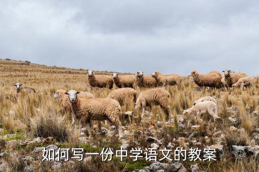 如何写一份中学语文的教案