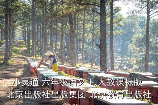 小灵通 六年级语文下 人教课标版 北京出版社出版集团 北京教育出版社