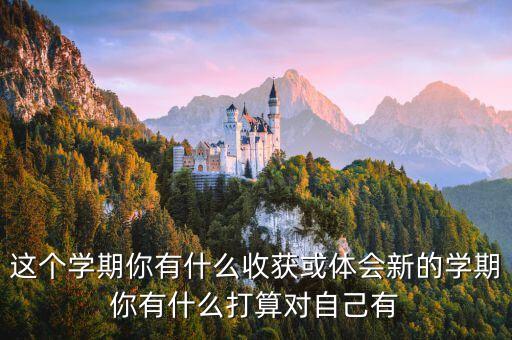 这个学期你有什么收获或体会新的学期你有什么打算对自己有