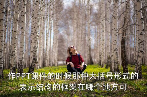 作PPT课件的时候那种大括号形式的表示结构的框架在哪个地方可