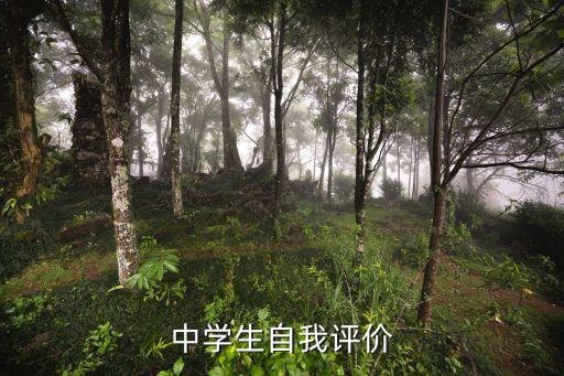 中学生自我评价