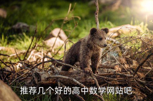 推荐几个好的高中数学网站吧