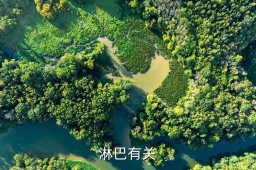 淋巴有关