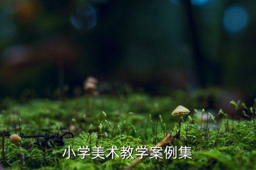 小学美术课的教案，小学美术教学案例集