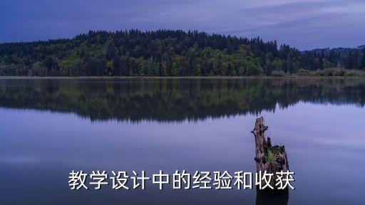 教学设计中的经验和收获