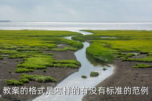 幼儿园教案正规格式模板图片，教案的标准格式