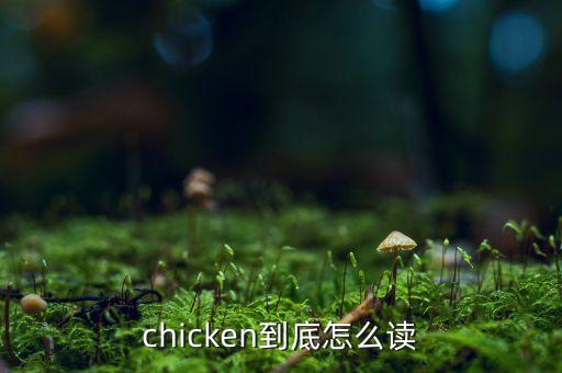 chicken到底怎么读
