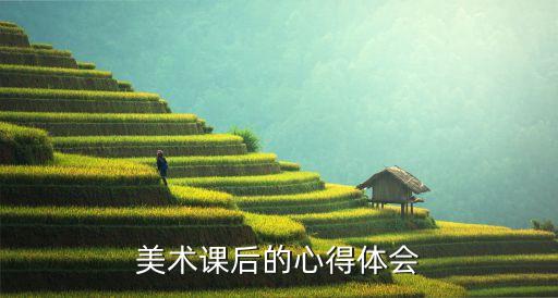 美术课后的心得体会
