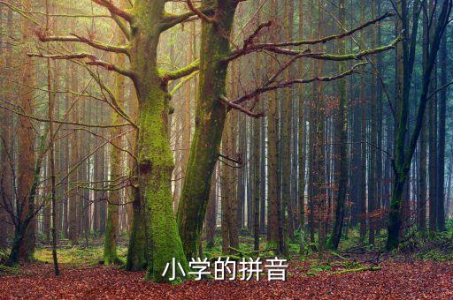 小学的拼音
