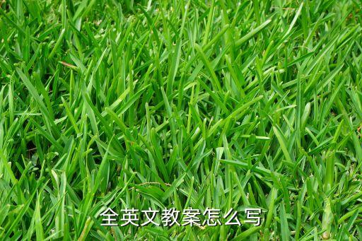 手写教案范本英语翻译，幼儿园中班英语see you tomorrow教案怎么写