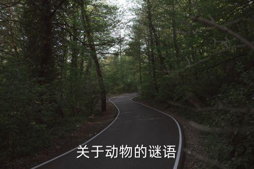 有关动物的谜语，有关于动物的一些谜语